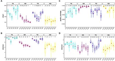 Quality analysis and function prediction of soil microbial communities of Polygonatum cyrtonema in two indigenous-origins